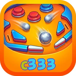 c333